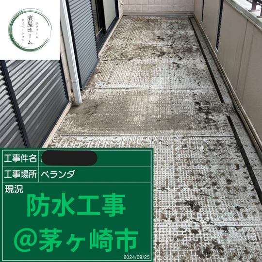 画像1376